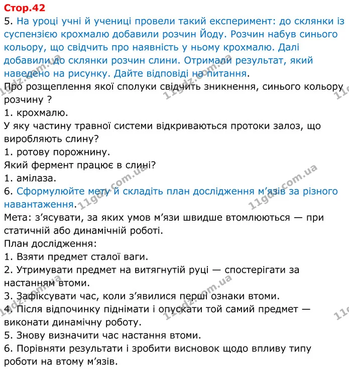 5. На уроці учні й учениці провели такий експеримент: до склянки із суспензією крохмалю добавили розчин Йоду. Розчин набув синього — ГДЗ робочий зошит Біологія 8 клас Андерсон