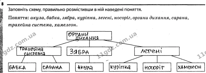 Стор. 35 — 8 — ГДЗ Робочий зошит Біологія 7 клас Задорожний — ГДЗ Робочий зошит Біологія 7 клас Задорожний