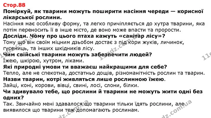 Дослідіть. Що зображено на фотографіях? Що в них незвичне? — Решебник Я досліджую світ 1 клас Грущинська