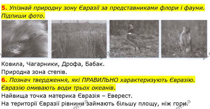 Др.6 (5-6) — ГДЗ робочий зошит Географія 7 клас Гільберг — ГДЗ робочий зошит Географія 7 клас Гільберг