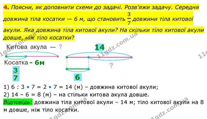 4. Поясни, як доповнити схеми до задачі. Розв’яжи задачу. Середня довжина тіла косатки — 6 м, що становить 37 довжини тіла китової — ГДЗ Математика 4 клас Скворцова