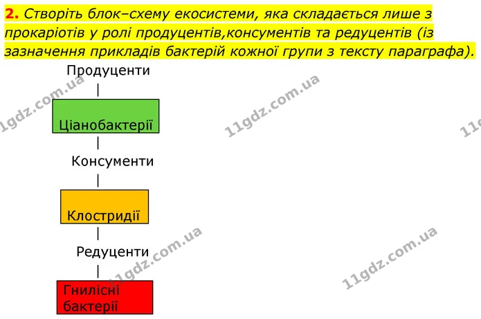 2. Створіть блок–схему екосистеми, яка складається лише з прокаріотів у ролі продуцентів,консументів та редуцентів (із зазначення — ГДЗ Біологія 7 клас Тагліна