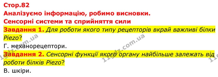 Стор. 82 — 1-2 — ГДЗ робочий зошит Біологія 8 клас Андерсон — ГДЗ робочий зошит Біологія 8 клас Андерсон