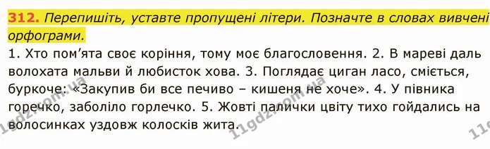 312. Перепишіть, уставте пропущені літери. Позначте в словах вивчені орфограми. — ГДЗ Українська мова 6 клас Глазова