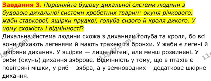 Стор. 59 — 3 — ГДЗ робочий зошит Біологія 8 клас Андерсон — ГДЗ робочий зошит Біологія 8 клас Андерсон