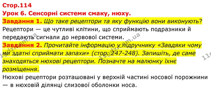 Стор. 114 — 1-2 — ГДЗ Робочий зошит біологія 8 клас Мирна — ГДЗ Робочий зошит біологія 8 клас Мирна