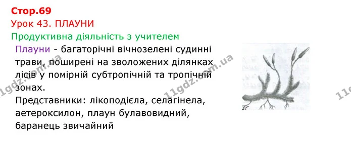 Стор. 69 — 1 — ГДЗ Робочий зошит Біологія 6 клас Соболь — ГДЗ Робочий зошит Біологія 6 клас Соболь