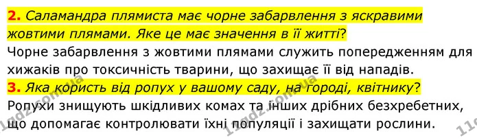 2. Саламандра плямиста має чорне забарвлення з яскравими жовтими плямами. Яке це має значення в її житті? — ГДЗ Біологія 7 клас Балан