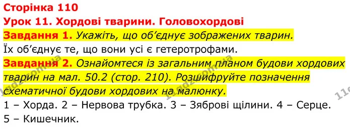 1. Укажіть, що об’єднує зображених тварин. — ГДЗ Робочий зошит Біологія 7 клас Мирна 2024