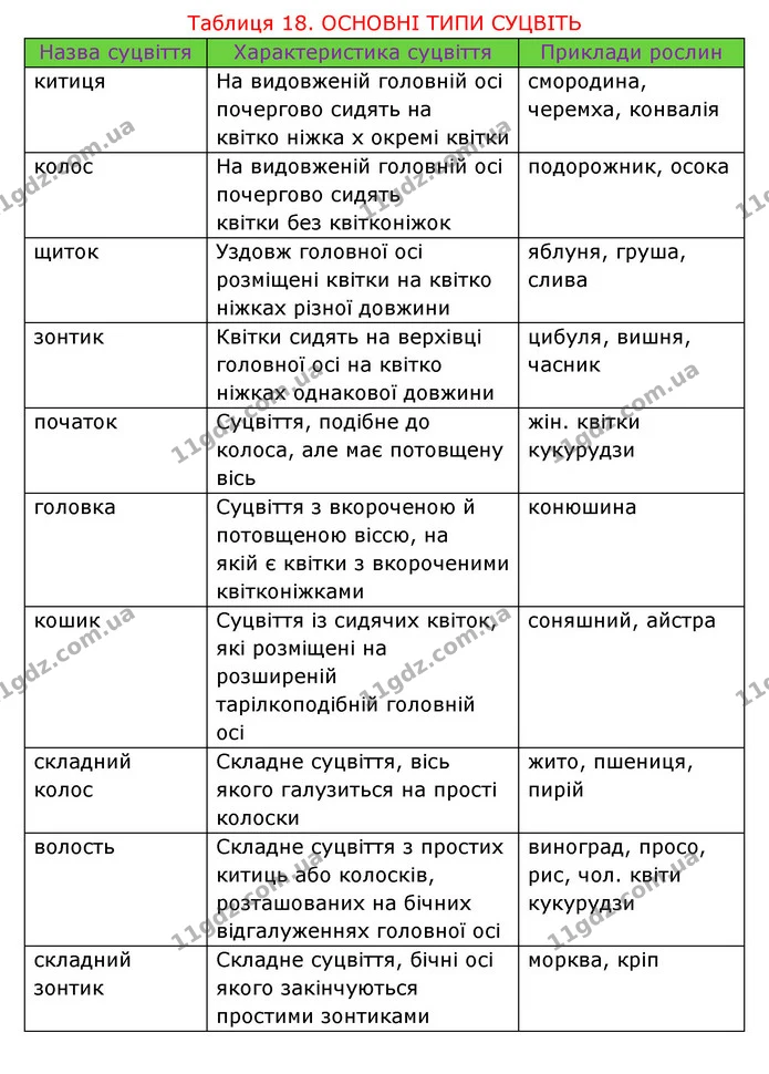 Стор. 54 — 3 — ГДЗ Робочий зошит Біологія 6 клас Соболь — ГДЗ Робочий зошит Біологія 6 клас Соболь