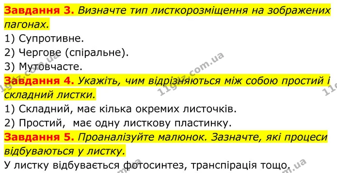 3. Визначте тип листкорозміщення на зображених пагонах. — ГДЗ Робочий зошит Біологія 7 клас Мирна 2024
