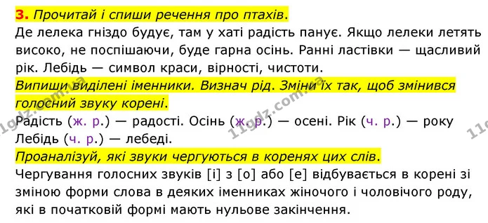 3. Прочитай і спиши речення про птахів. — ГДЗ Українська мова 4 клас Чабайовська