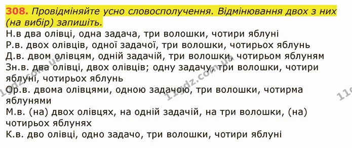 308. Провідміняйте усно словосполучення. Відмінювання двох з них (на вибір) запишіть. — ГДЗ Українська мова 6 клас Заболотний 2019