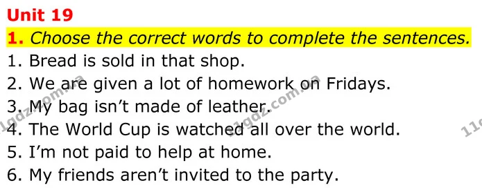 1. Choose the correct words to complete the sentences. — ГДЗ Англійська мова 7 клас Коста