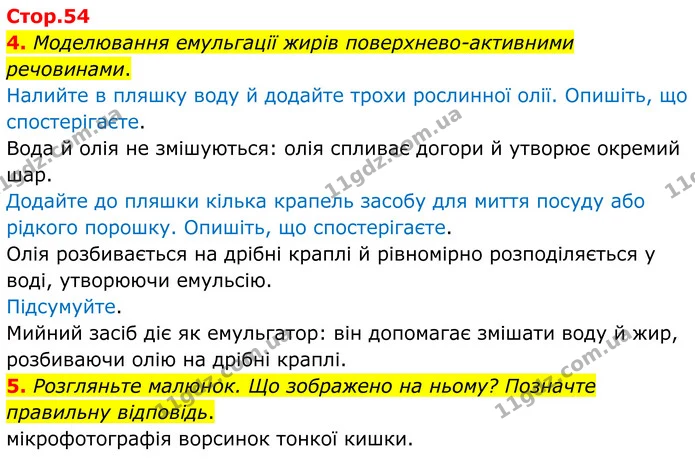 1. Прочитайте твердження. Оберіть правильну відповідь. — частина 4 — ГДЗ Робочий зошит Біологія 8 клас Тагліна (2025)