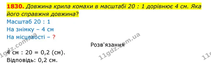 1830. Довжина крила комахи в масштабі 20 : 1 дорівнює 4 см. Яка його справжня довжина? — ГДЗ Математика 5 клас Бевз