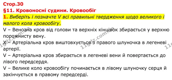 1. Виберіть і позначте V всі правильні твердження щодо великого і малого кола кровообігу. — ГДЗ Робочий зошит Біологія 8 клас Тагліна (2025)