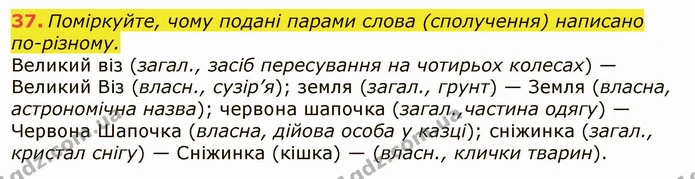 37. Поміркуйте, чому подані парами слова (сполучення) написано — ГДЗ Українська мова 6 клас Заболотний 2019
