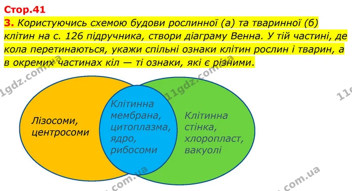 3. Користуючись схемою будови рослинної (а) та тваринної (б) клітин на с. 126 підручника, створи діаграму Венна. У тій частині, де кола — ГДЗ робочий зошит Біологія 7 клас Тагліна