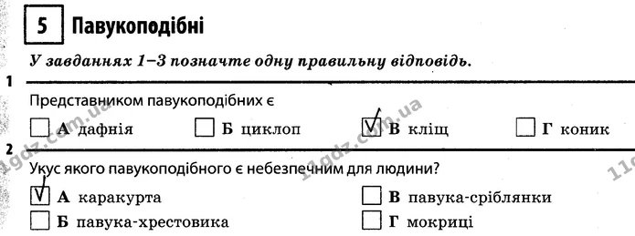 1. Представником павукоподібних є В (кліщ) — ГДЗ Робочий зошит Біологія 7 клас Задорожний
