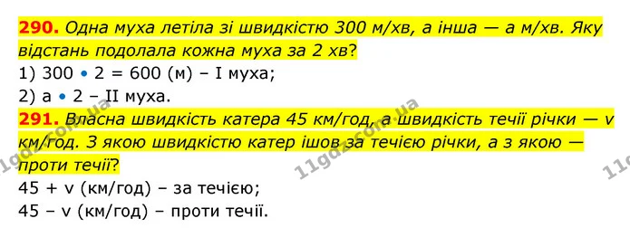 290. Одна муха летіла зі швидкістю 300 м/хв, а інша — а м/хв. Яку відстань подолала кожна муха за 2 хв? — ГДЗ Математика 4 клас Бевз 1 та 2 частини