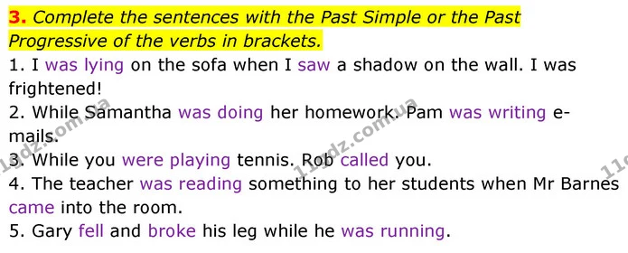 3. Complete the sentences with the Past Simple or the Past Progressive of the verbs in brackets. — ГДЗ Англійська мова 6 клас Мітчелл