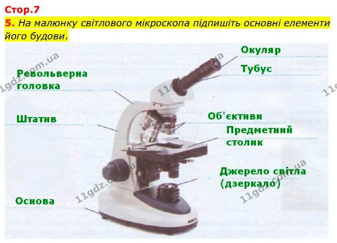 5. На малюнку світлового мікроскопа підпишіть основні елементи його будови. — ГДЗ робочий зошит Біологія 7 клас Кулініч