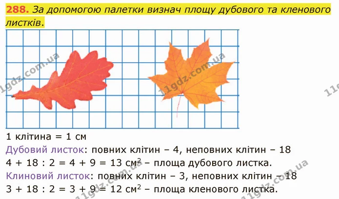 288. За допомогою палетки визнач площу дубового та кленового листків. — ГДЗ Математика 4 клас Оляницька