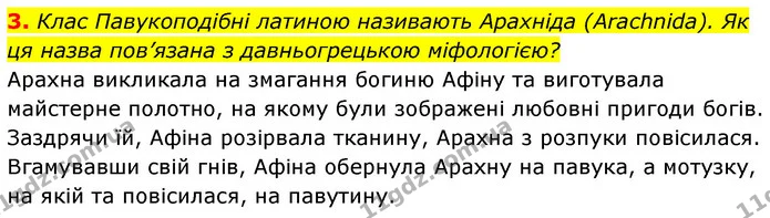 3. Клас Павукоподібні латиною називають Арахніда (Arachnida). Як ця назва пов’язана з давньогрецькою міфологією? — ГДЗ Біологія 7 клас Тагліна