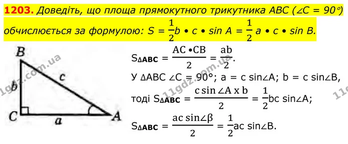 1203. Доведіть, що площа прямокутного трикутника ABC (∠C = 90°) обчислюється за формулою: S = 12b • с • sin А = 12 а • с • sin В. — ГДЗ Геометрія 8 клас Бурда