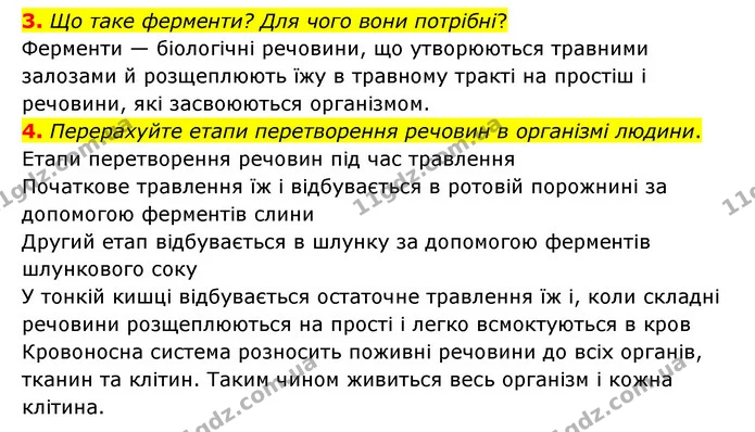 3. Що таке ферменти? Для чого вони потрібні? — ГДЗ Пізнаємо природу 6 клас Мідак