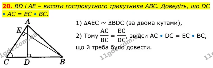 20 — ГДЗ Геометрія 8 клас Істер