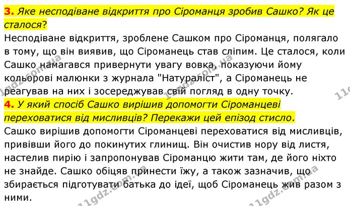 3. Яке несподіване відкриття про Сіроманця зробив Сашко? Як це сталося? — ГДЗ Українська література 6 клас Коваленко 2023