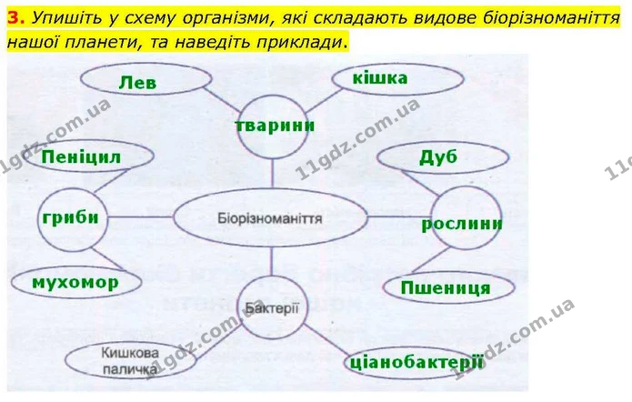 3. Упишіть у схему організми, які складають видове біорізноманіття нашої планети, та наведіть приклади. — ГДЗ робочий зошит Біологія 7 клас Кулініч