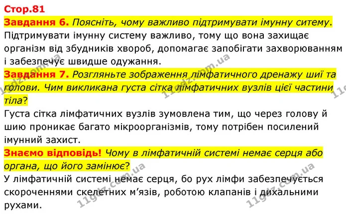 Завдання 6. Поясніть, чому важливо підтримувати імунну ситему. — ГДЗ Робочий зошит біологія 8 клас Мирна