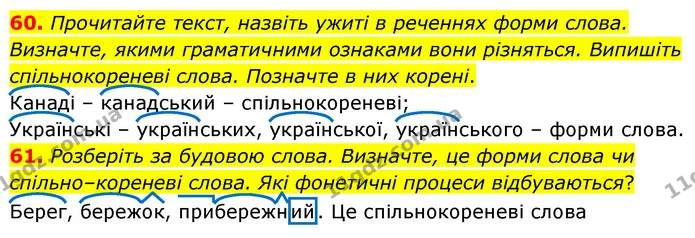 60. Прочитайте текст, назвіть ужиті в реченнях форми слова. Визначте, якими граматичними ознаками вони різняться. Випишіть — ГДЗ Українська мова 6 клас Голуб 2023
