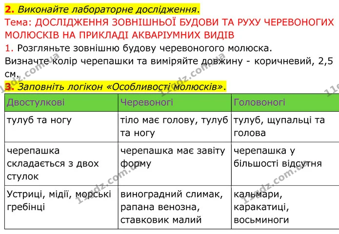 2. Виконайте лабораторне дослідження. — ГДЗ робочий зошит Біологія 7 клас Кулініч