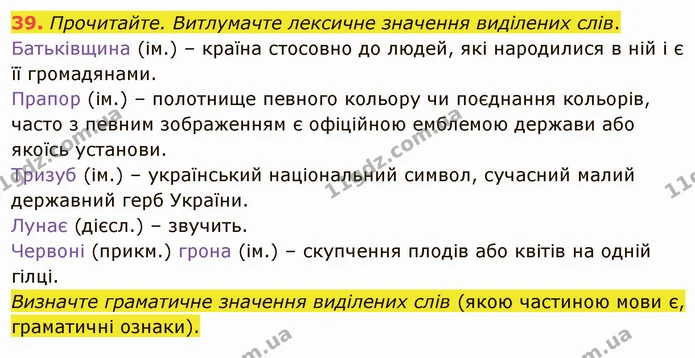 39. Прочитайте. Витлумачте лексичне значення виділених слів. — ГДЗ Українська мова 5 клас Глазова 2022