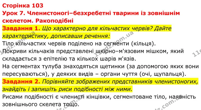 1. Що характерно для кільчастих червів? Дайте характеристику, дописавши речення: — ГДЗ Робочий зошит Біологія 7 клас Мирна 2024