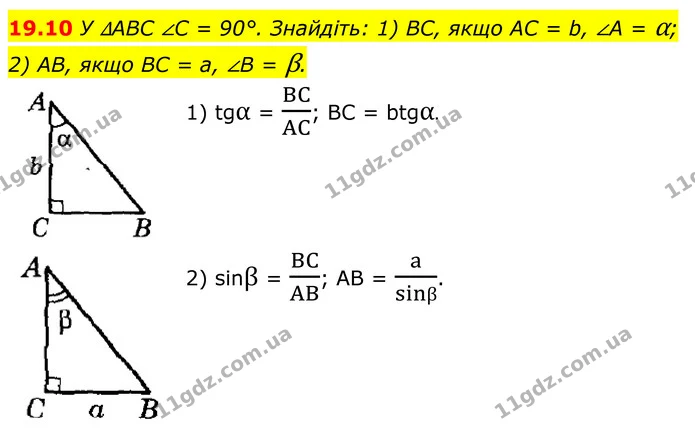 19.10 У ∆ABC ∠C = 90°. Знайдіть: 1) BC, якщо AC = b, ∠A = α; — ГДЗ Геометрія 8 клас Істер