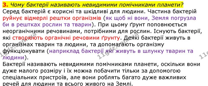 3. Чому бактерії називають невидимими помічниками планети? — ГДЗ Природознавство 5 клас Коршевнюк