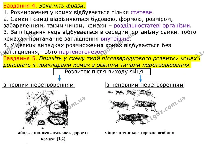Стор. 27 — 4-5 — ГДЗ Робочий зошит з Біології 7 клас Яременко — ГДЗ Робочий зошит з Біології 7 клас Яременко