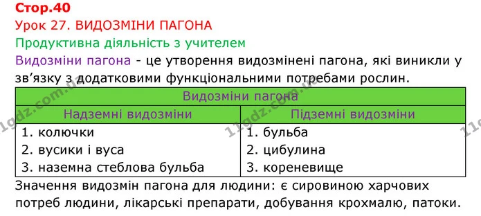 Стор. 40 — 1 — ГДЗ Робочий зошит Біологія 6 клас Соболь — ГДЗ Робочий зошит Біологія 6 клас Соболь