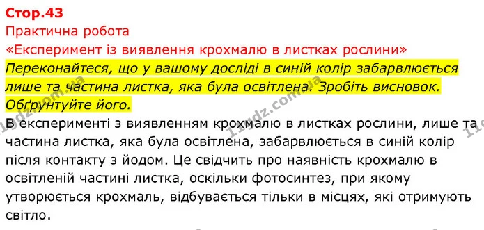 1. Які органели і які особливості живлення рослин свідчать про те, що вони є фототрофами? — ГДЗ Біологія 7 клас Тагліна
