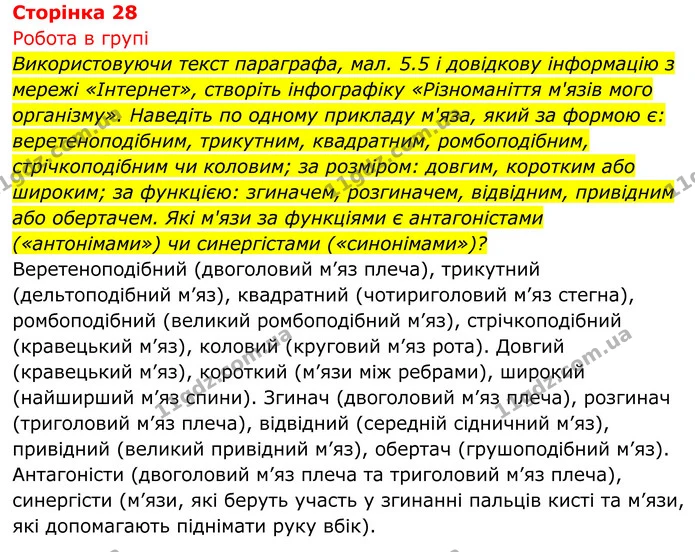Стор. 28 — 1 — ГДЗ Біологія 8 клас Тагліна — ГДЗ Біологія 8 клас Тагліна