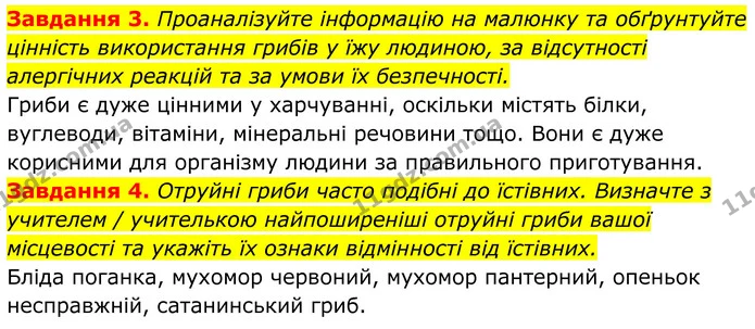3. Проаналізуйте інформацію на малюнку та обґрунтуйте цінність використання грибів у їжу людиною, за відсутності алергічних реакцій та — ГДЗ Робочий зошит Біологія 7 клас Мирна 2024