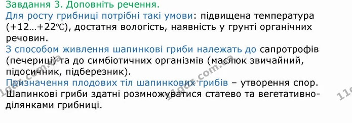 Стор. 63 — 3 — ГДЗ Робочий зошит Біологія 6 клас Мечник — ГДЗ Робочий зошит Біологія 6 клас Мечник