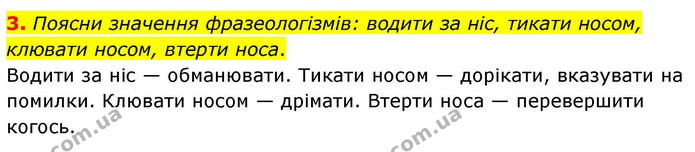 3. Поясни значення фразеологізмів: водити за ніс, тикати носом, клювати носом, втерти носа. — ГДЗ Українська мова та читання 4 клас Большакова