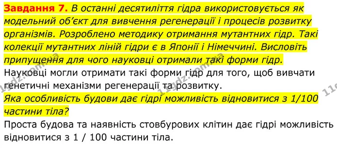 7. В останні десятиліття гідра використовується як модельний об’єкт для вивчення регенерації і процесів розвитку організмів. Розроблено — ГДЗ Робочий зошит Біологія 7 клас Мирна 2024