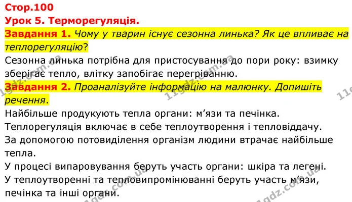 Стор. 100 — 1-2 — ГДЗ Робочий зошит біологія 8 клас Мирна — ГДЗ Робочий зошит біологія 8 клас Мирна